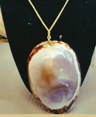 Spotted Cowry Shell Necklace